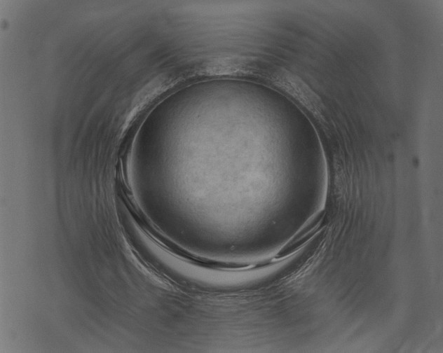 X0000074030530200608281422
