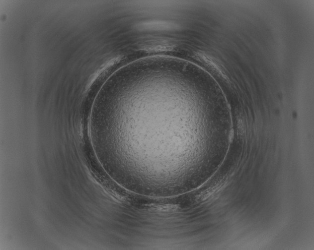 X0000074030539200608281422