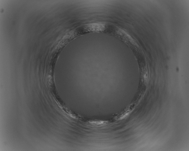 X0000074030553200608281422