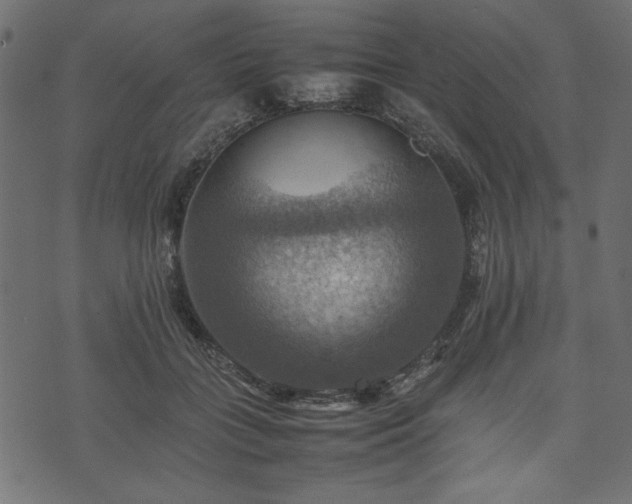 X0000074030555200608281422