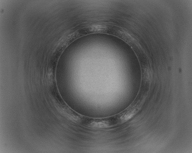 X0000074030557200608281422