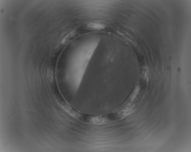 X0000074030568200608281422