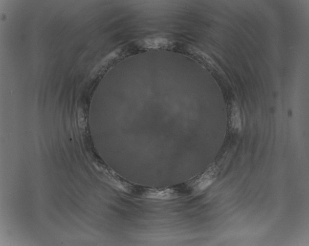 X0000074030569200608281422