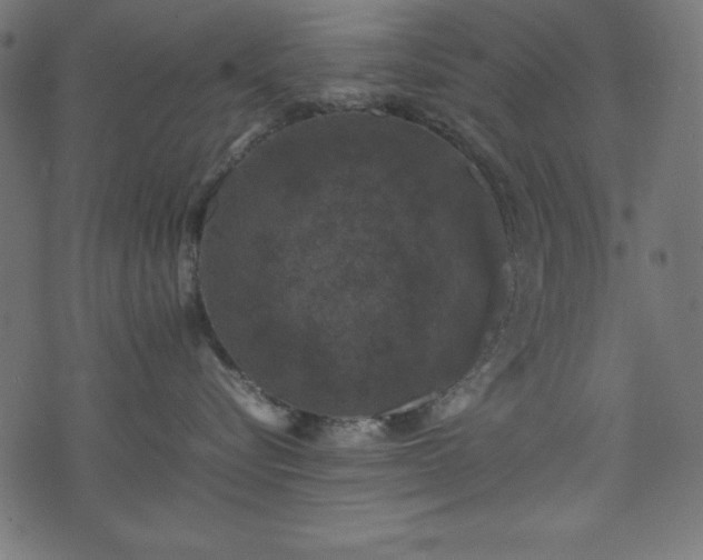 X0000074030576200608281423