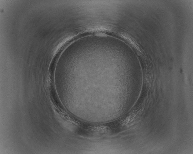 X0000074030583200608281422