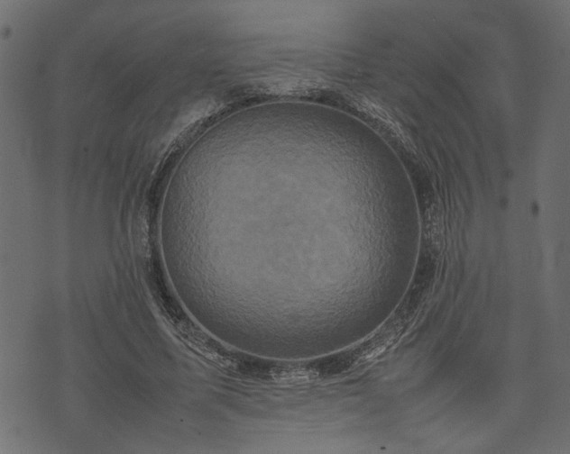X0000074030587200608281422