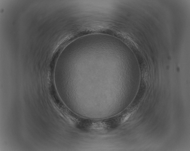 X0000074030591200608281422