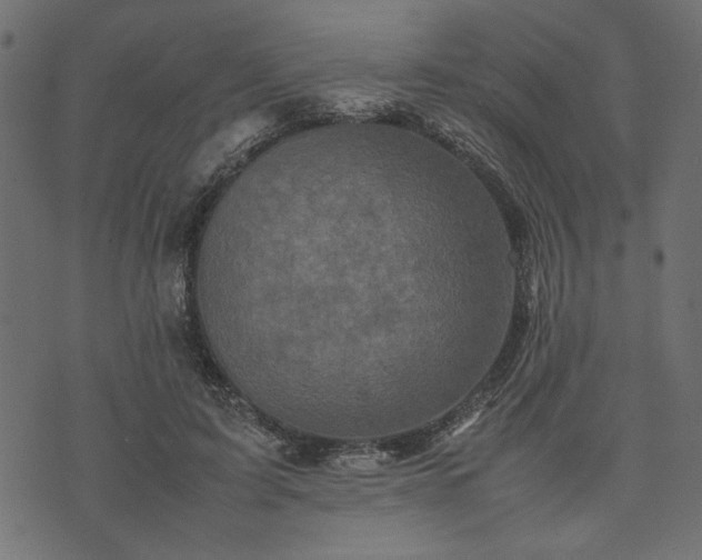 X0000074030595200608281422