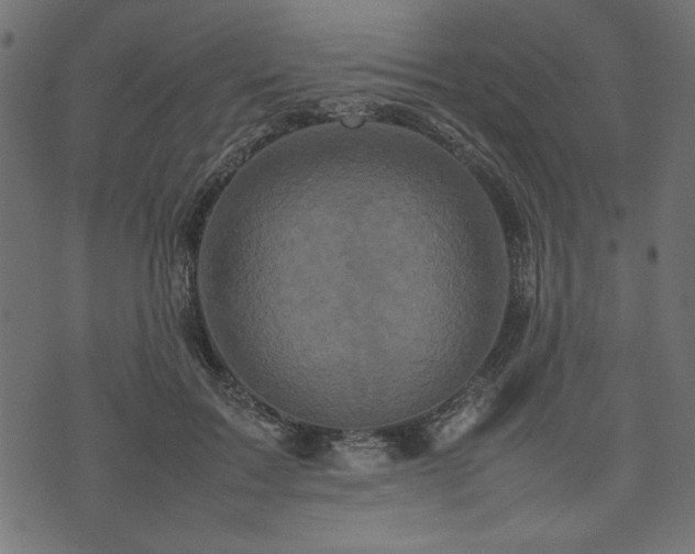 X0000074030603200608281421