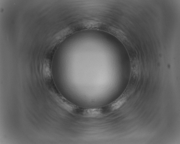X0000074030622200608281421