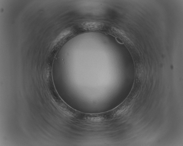 X0000074030645200608281421