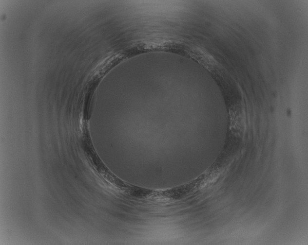 X0000074030648200608281421