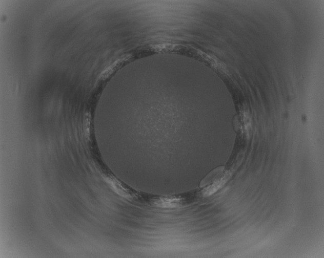 X0000074030664200608281421