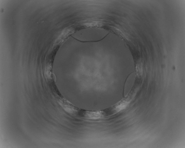 X0000074030671200608281421