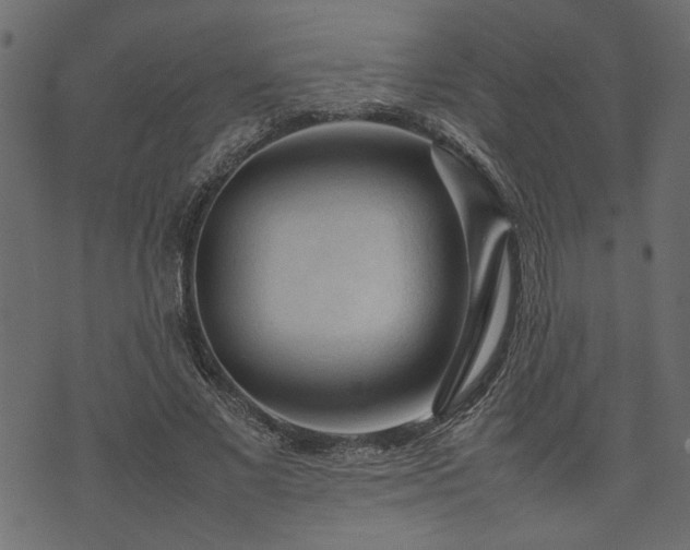 X0000074030685200608281420
