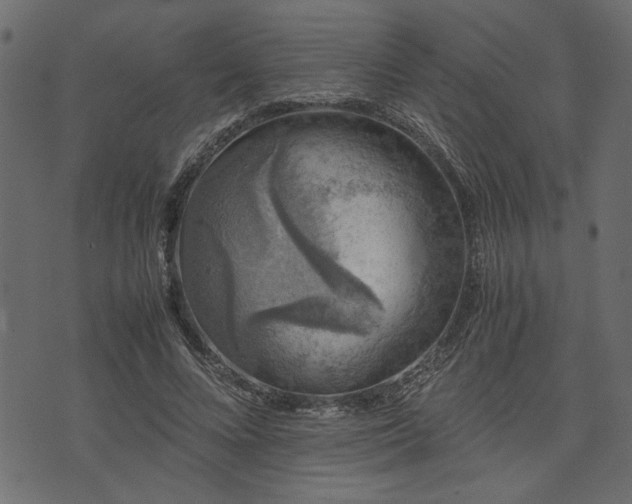 X0000074030688200608281420