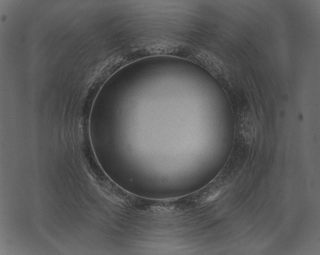 X0000074030690200608281420