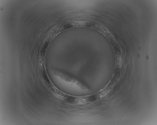 X0000074030701200608281420