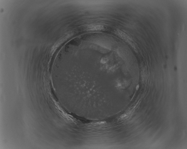 X0000074030721200608281419