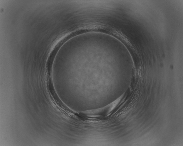 X0000074030724200608281419