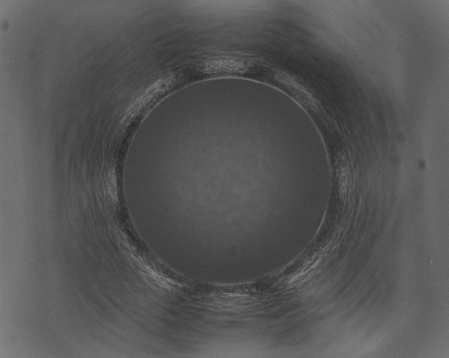 X0000074030729200608281419