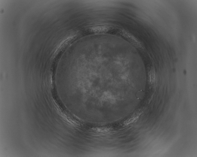 X0000074030733200608281419
