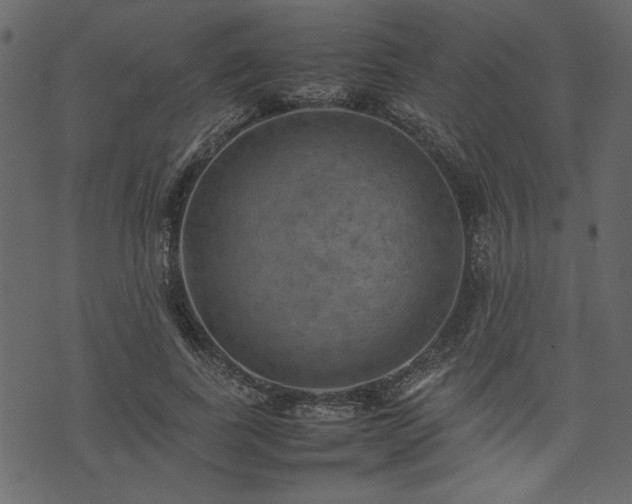 X0000074030739200608281419