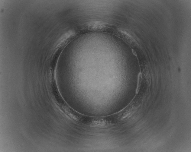X0000074030744200608281419