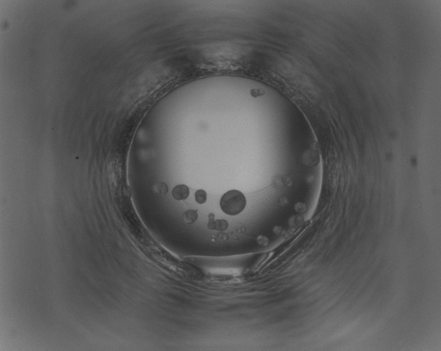 X0000074030747200608281419