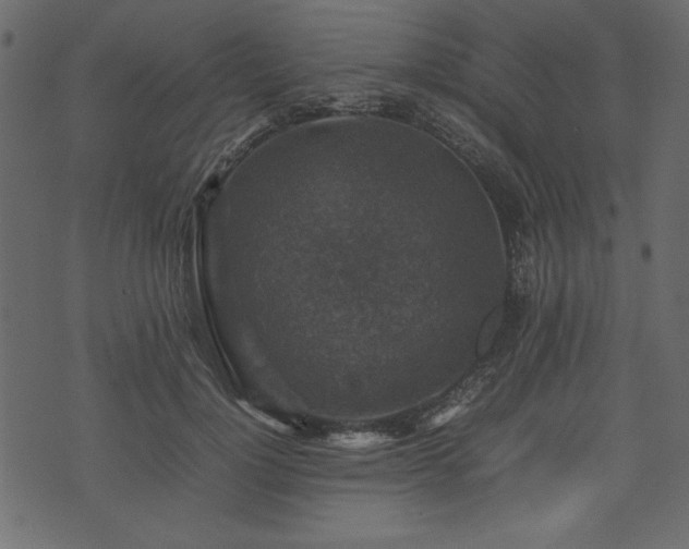 X0000074030748200608281419