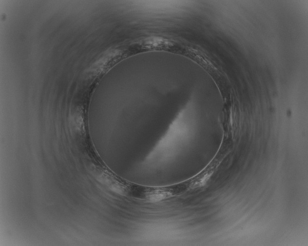 X0000074030754200608281419