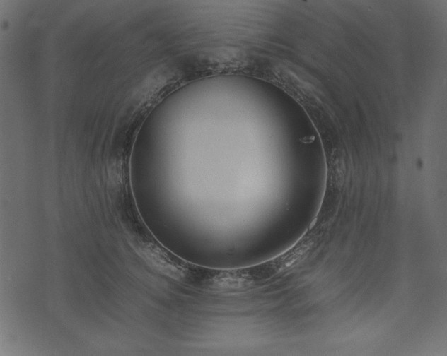 X0000074030756200608281419
