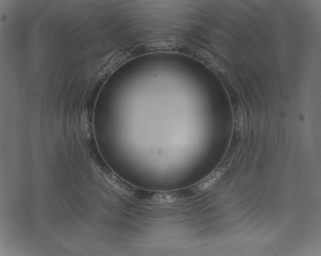 X0000074030764200608281419