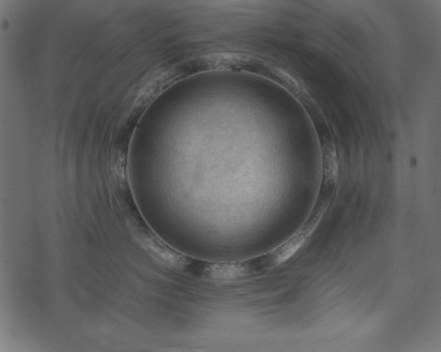 X0000074030766200608281419