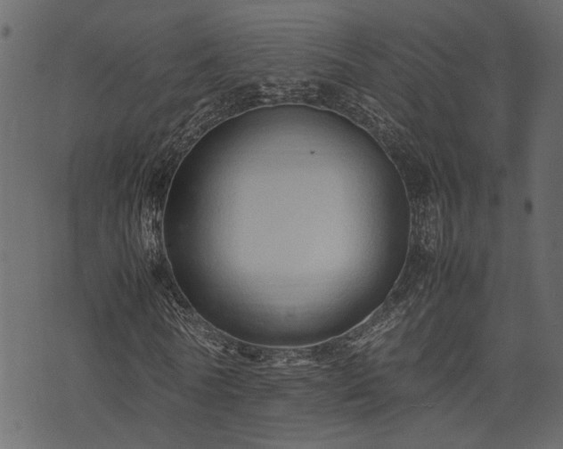 X0000074030770200608281419