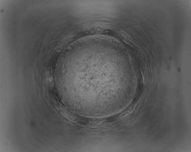 X0000074030771200608281419