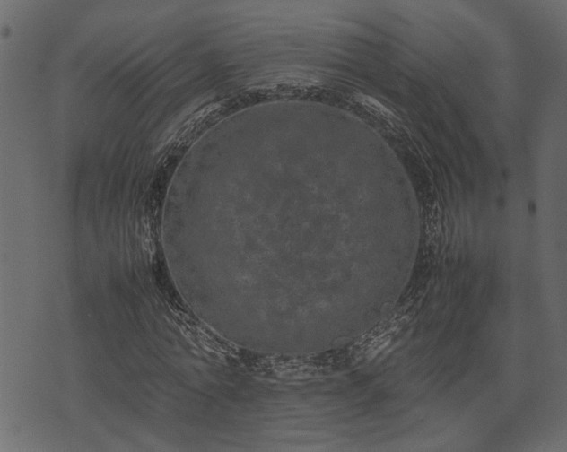 X0000074030774200608281419