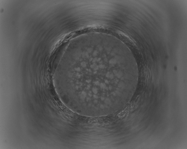 X0000074030776200608281419