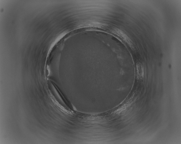 X0000074030780200608281419