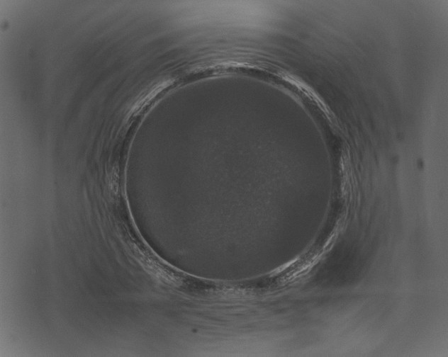 X0000074030785200608281418