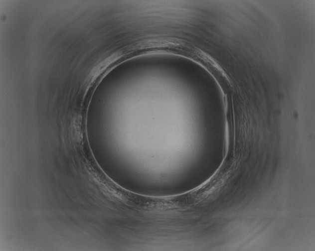 X0000074030786200608281418