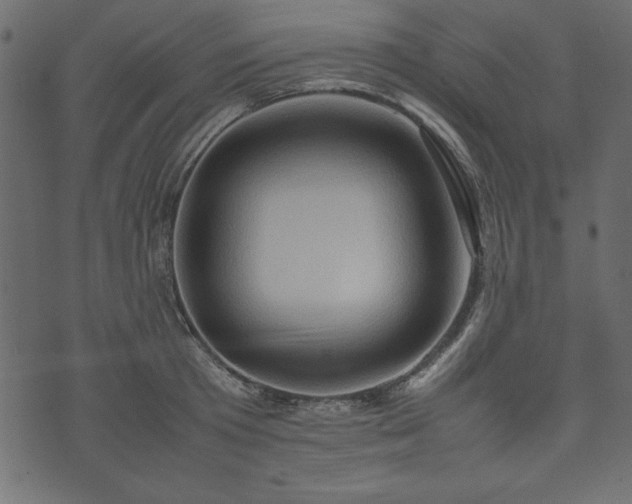 X0000074030801200608281418