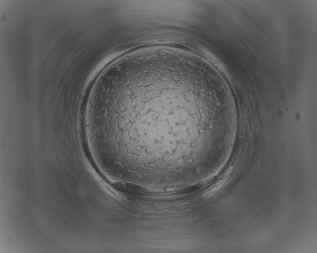X0000074030803200608281418