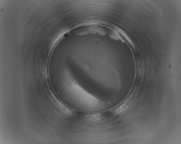 X0000074030810200608281418