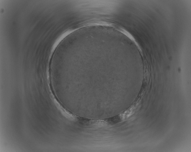 X0000074030811200608281418