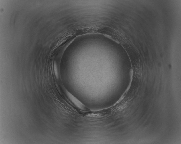 X0000074030818200608281417