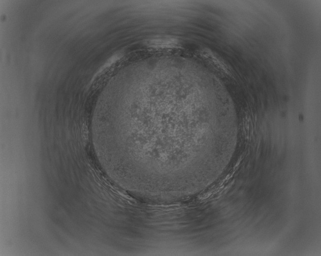 X0000074030821200608281417