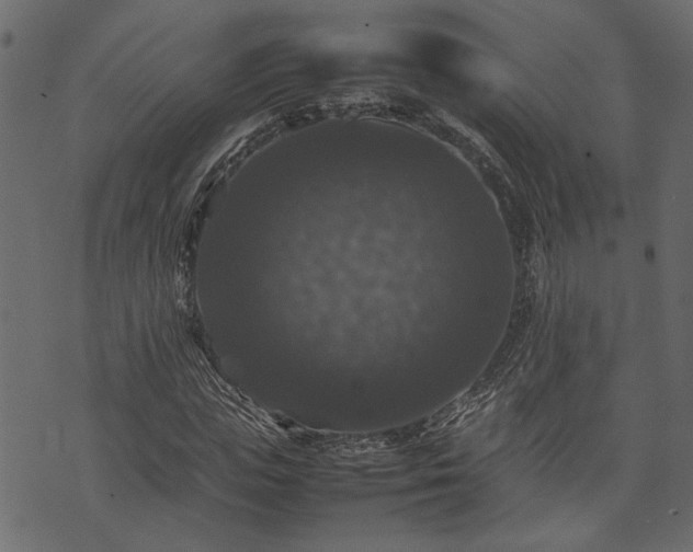 X0000074030823200608281417