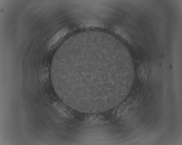 X0000074030824200608281417
