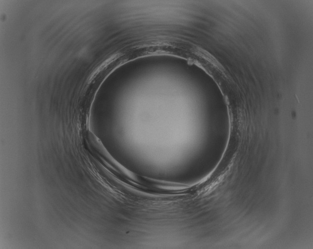 X0000074030826200608281417